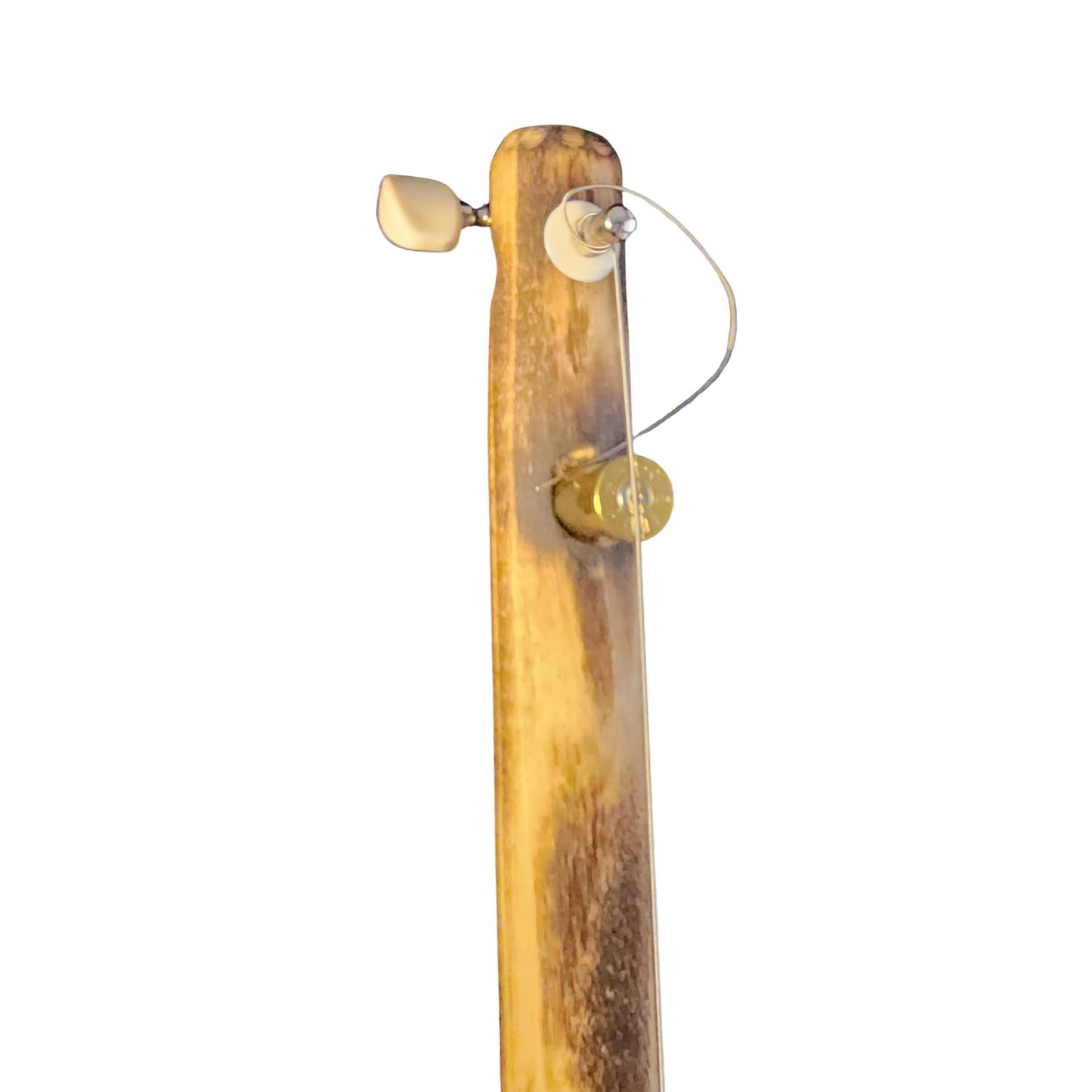 "Greenhouse" Regular Cigar Box Bullet Banjo