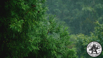 "The Slab" Premium Cigar Box Bullet Banjo