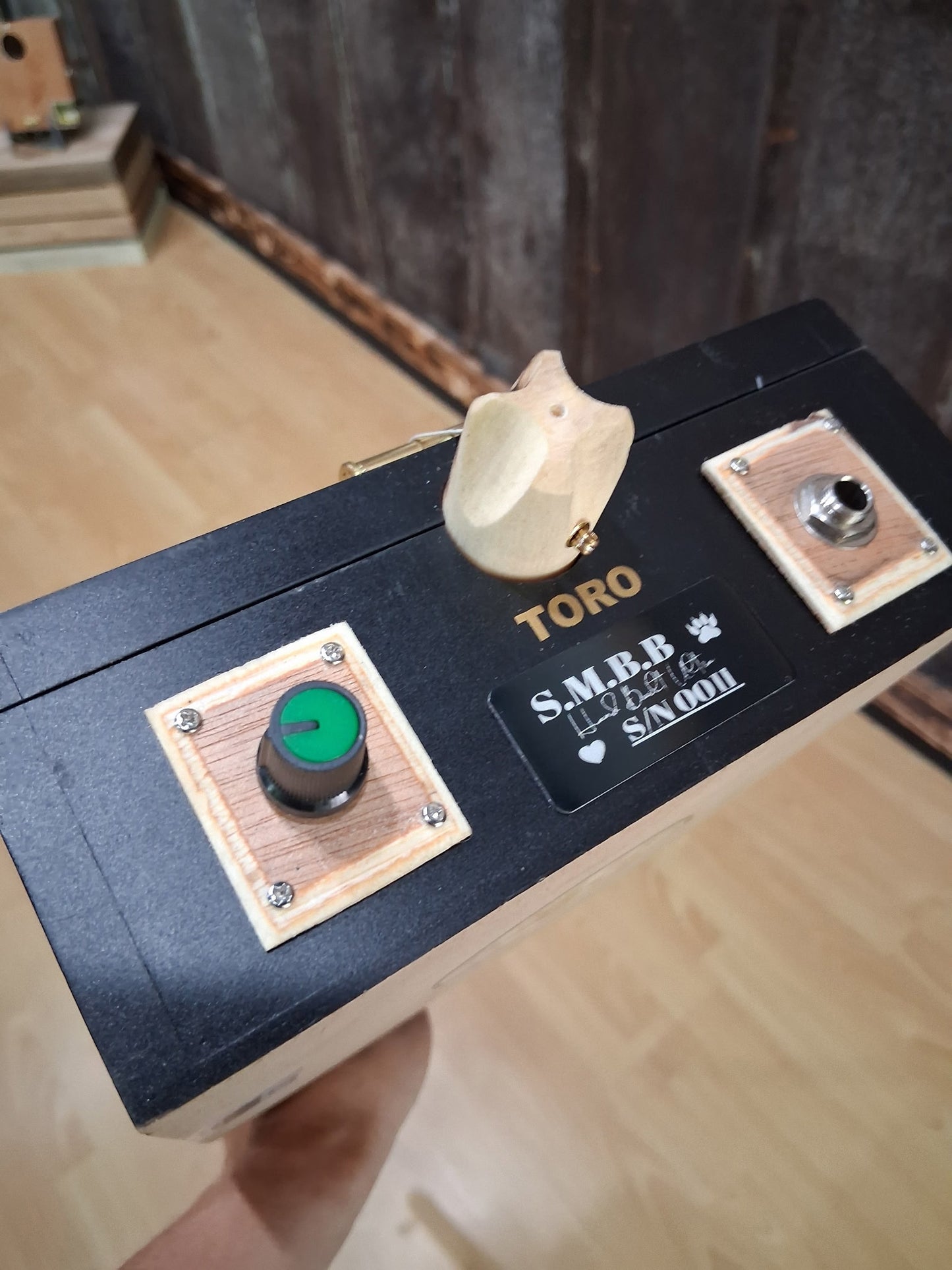 "The Garden Path" Electric Cigar Box Bullet Banjo
