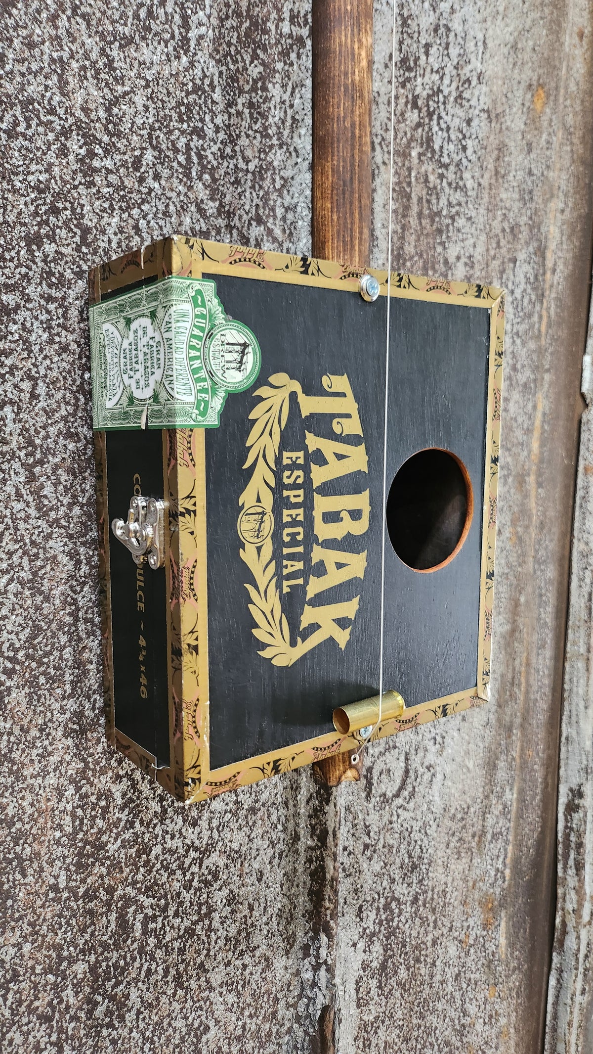 "Slight Transition" Premier Acoustic Cigar Box Bullet Banjo
