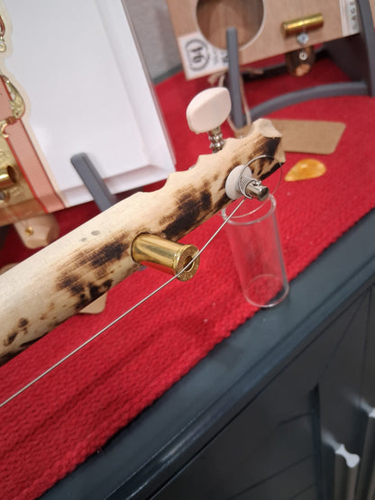 "The Garden Path" Electric Cigar Box Bullet Banjo