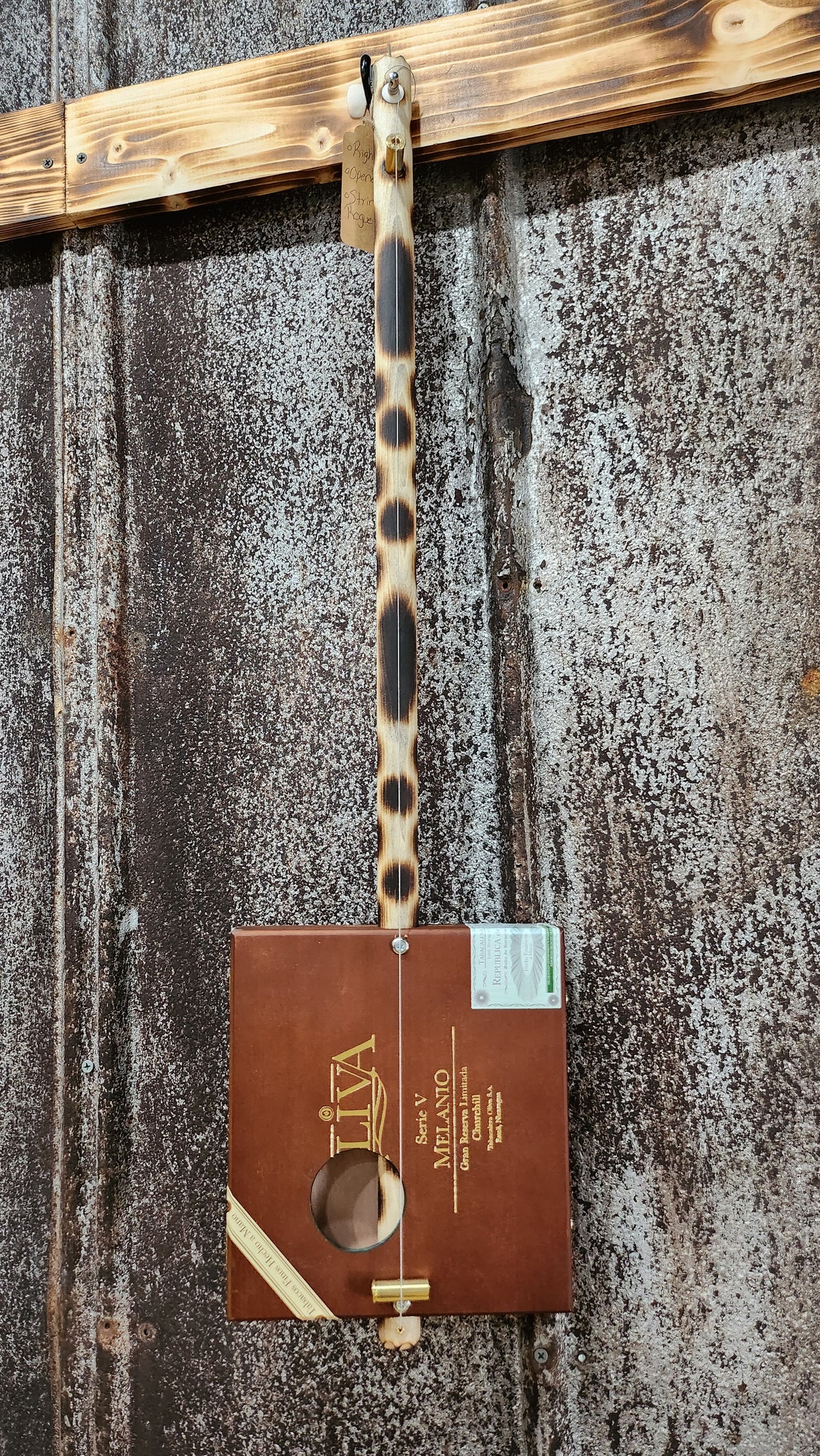 "Wild Lily Pad" Premier Acoustic Cigar Box Bullet Banjo