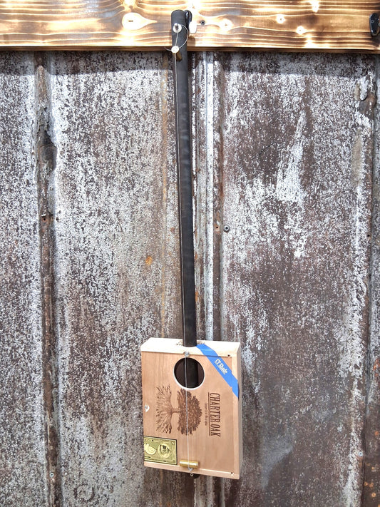 "Campfire Roots" Regular Cigar Box Bullet Banjo