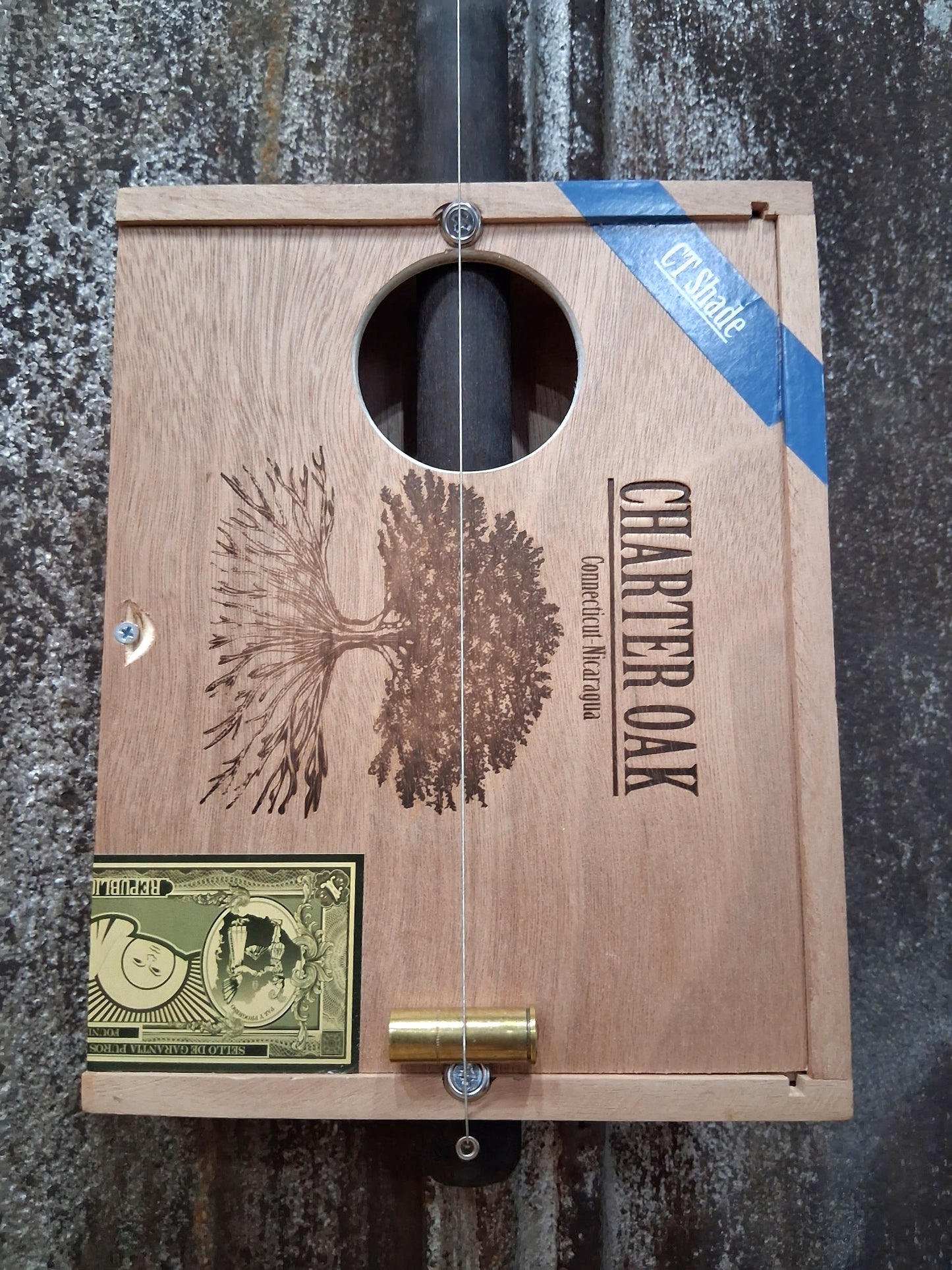 "Campfire Roots" Regular Cigar Box Bullet Banjo