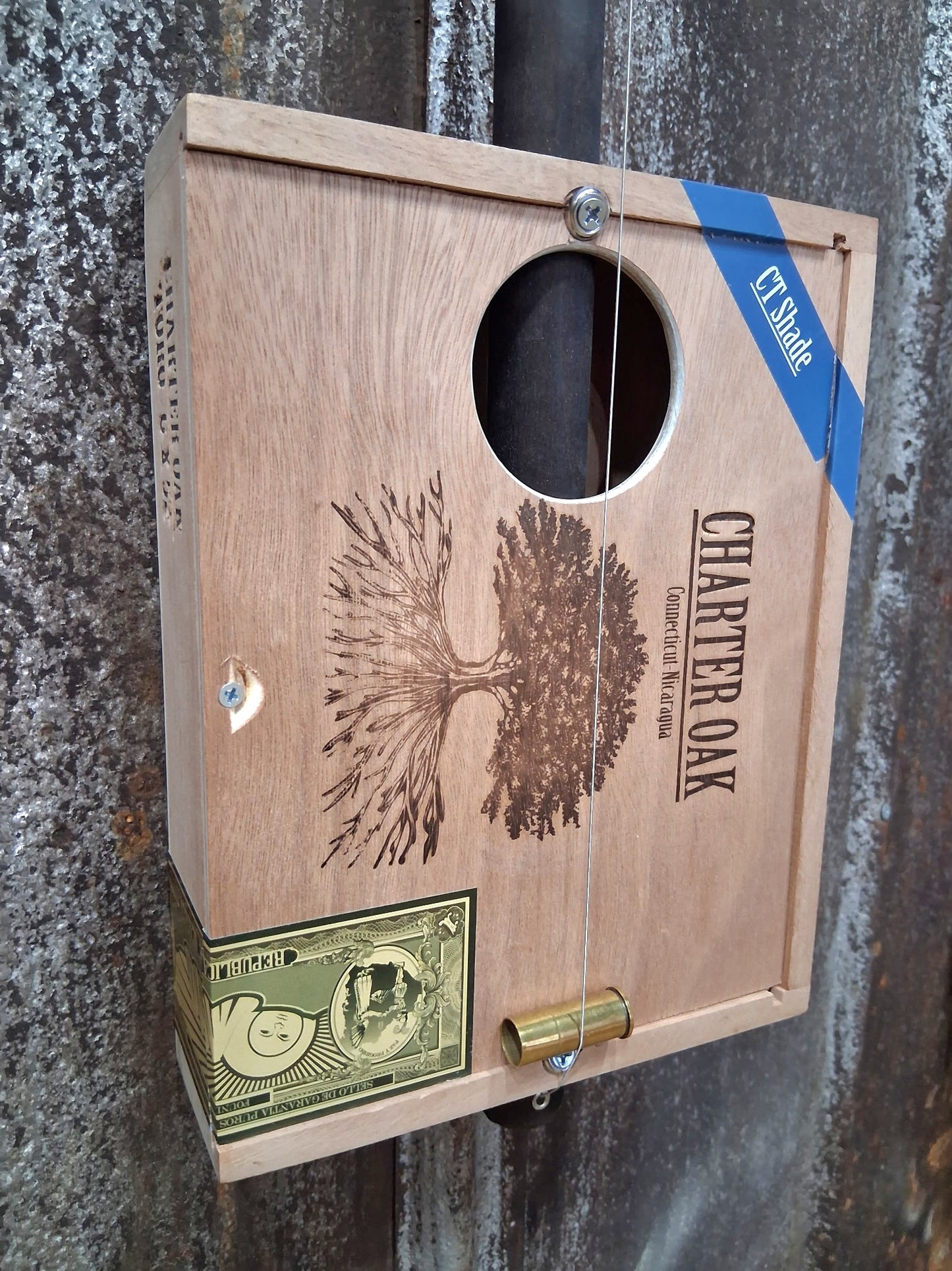 "Campfire Roots" Regular Cigar Box Bullet Banjo